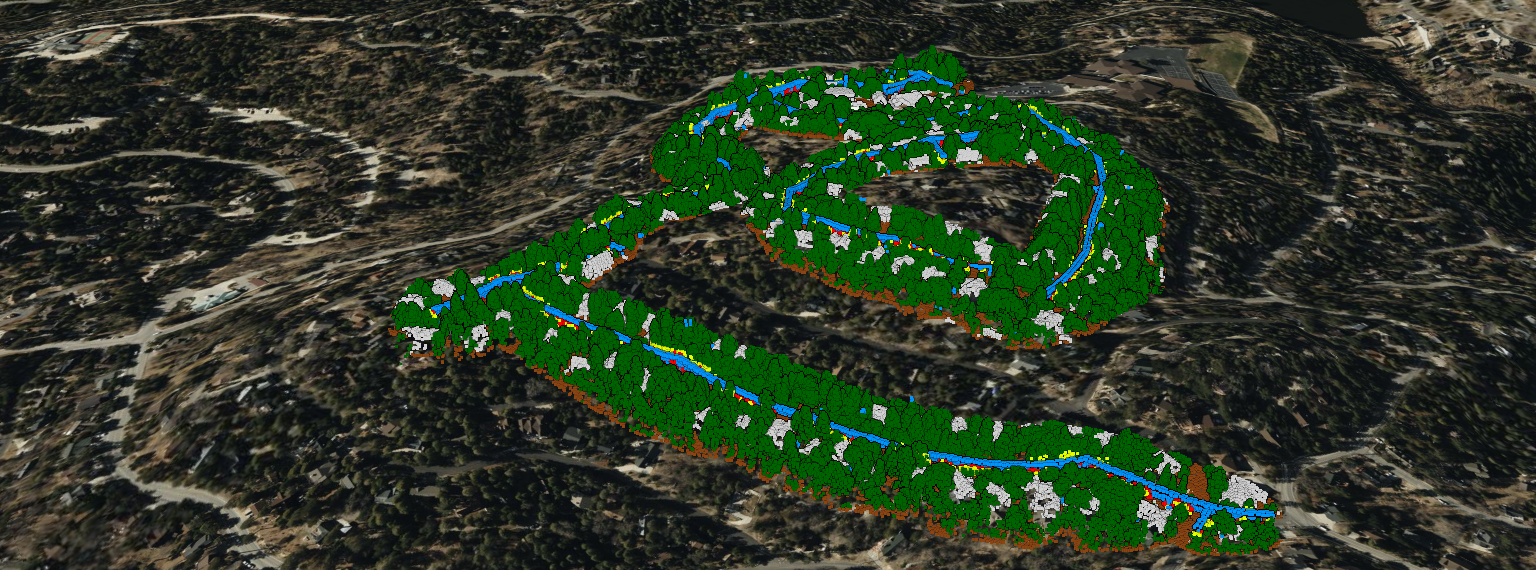 Vegetation Management